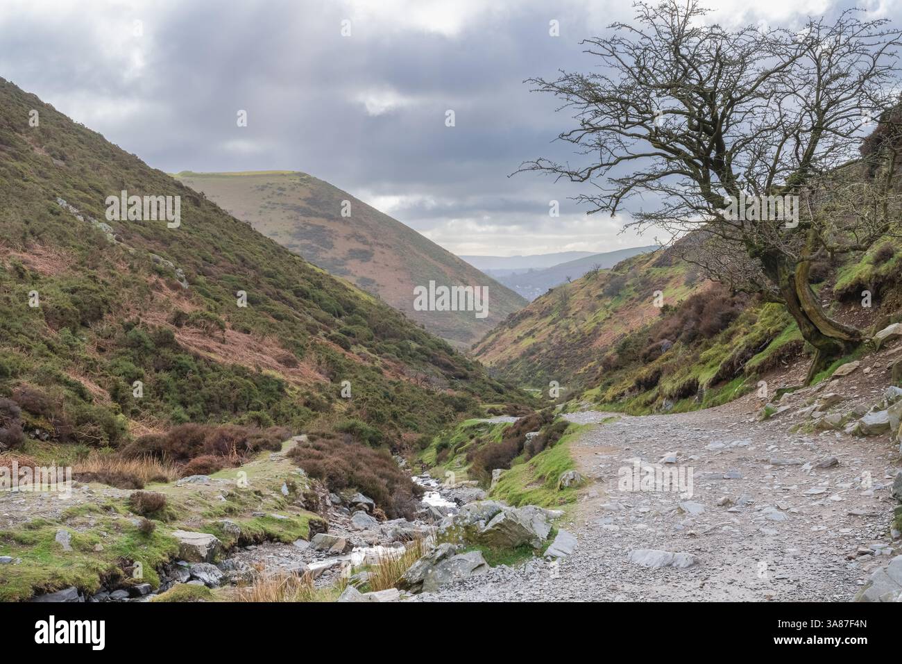 Carding Mill Valley à long Mynd dans le parc national de Shropshire Hills dans le Shropshire, Royaume-Uni Banque D'Images