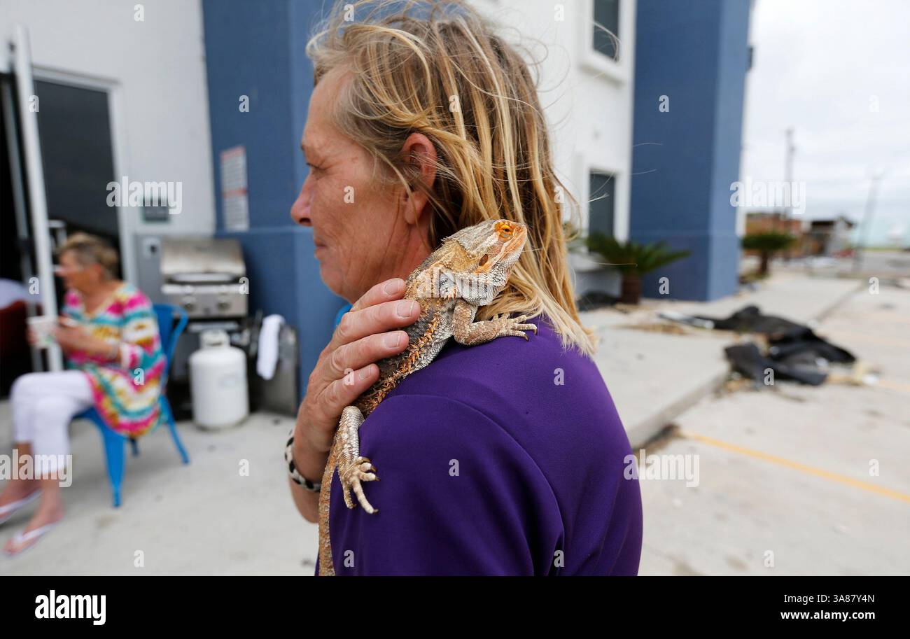 27 août 2017 - Port Aransas, Texas, États-Unis - Heather Miller caresse son dragon barbu El Paso à l'extérieur dans un hôtel à la suite de l'ouragan Harvey à Port Aransas, Texas, le dimanche 27 août 2017. (Crédit image : © San Antonio Express-News via ZUMA Wire) Banque D'Images