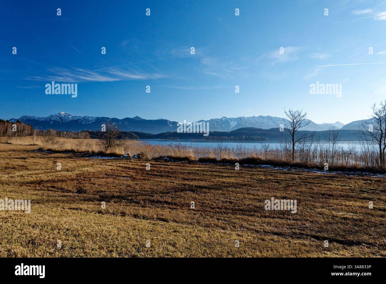Paysage hivernal idyllique avec landes, Alpes européennes et Staffelsee par une froide journée d'hiver (Murnau, Bavière, Allemagne) Banque D'Images