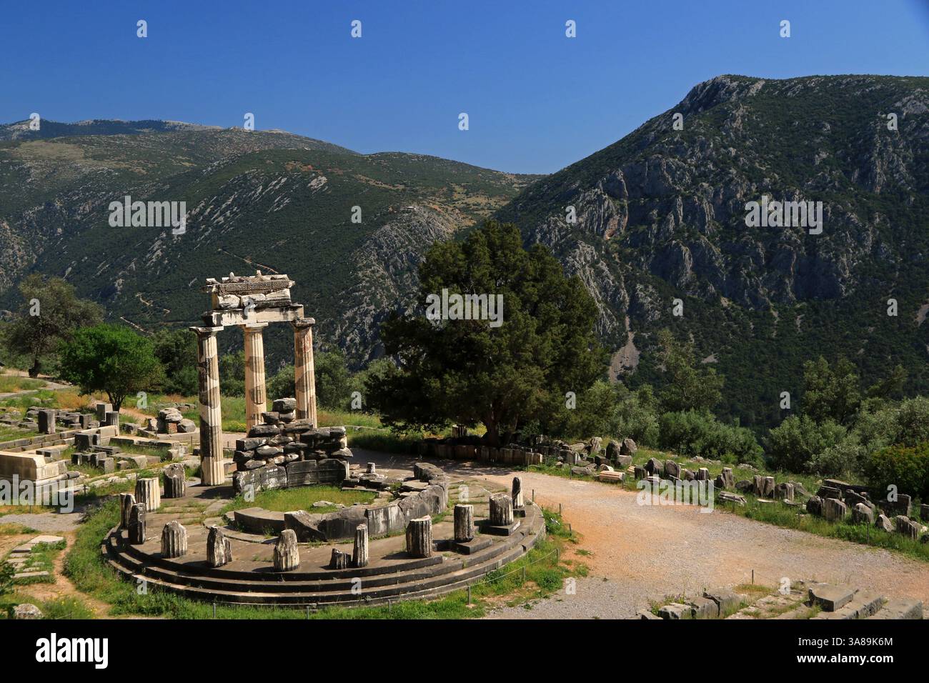 Tholos de Delphes, Delphes, Mont Parnasse, Grèce Banque D'Images