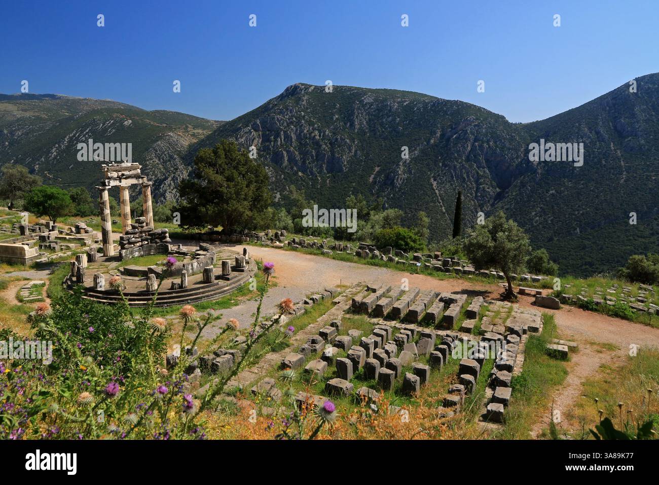 Tholos de Delphes, Delphes, Mont Parnasse, Grèce Banque D'Images