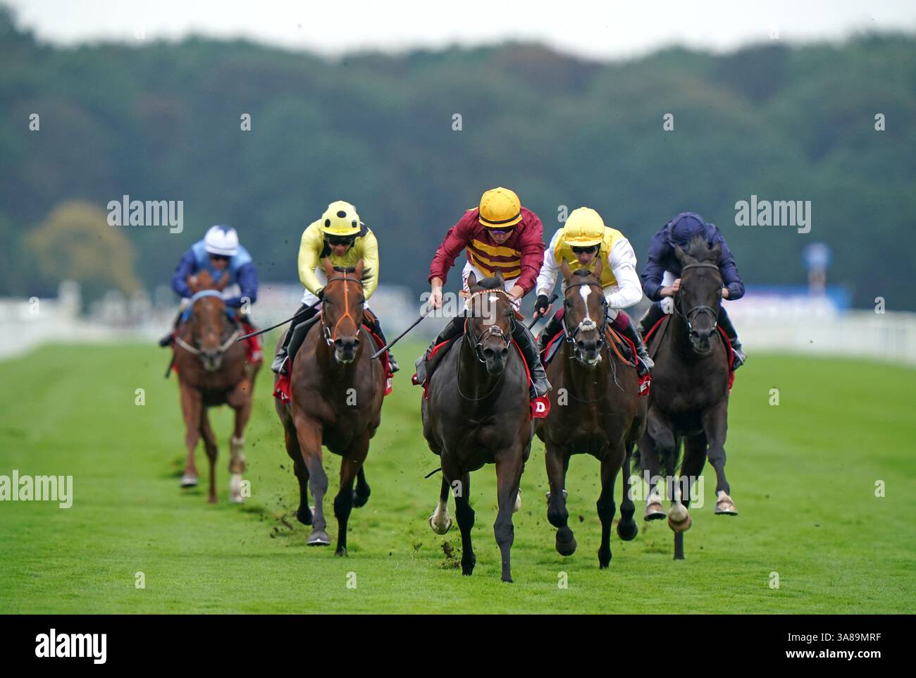 Photo du dossier datée du 16-09-2023 d'Iberian, qui peut se forger une niche dans la division sprint lorsqu'il revient sur la scène de sa meilleure heure pour les meilleures cotes garanties William Hill Cammidge Trophy Stakes à Doncaster. Date d'émission : vendredi 28 mars 2025. Banque D'Images