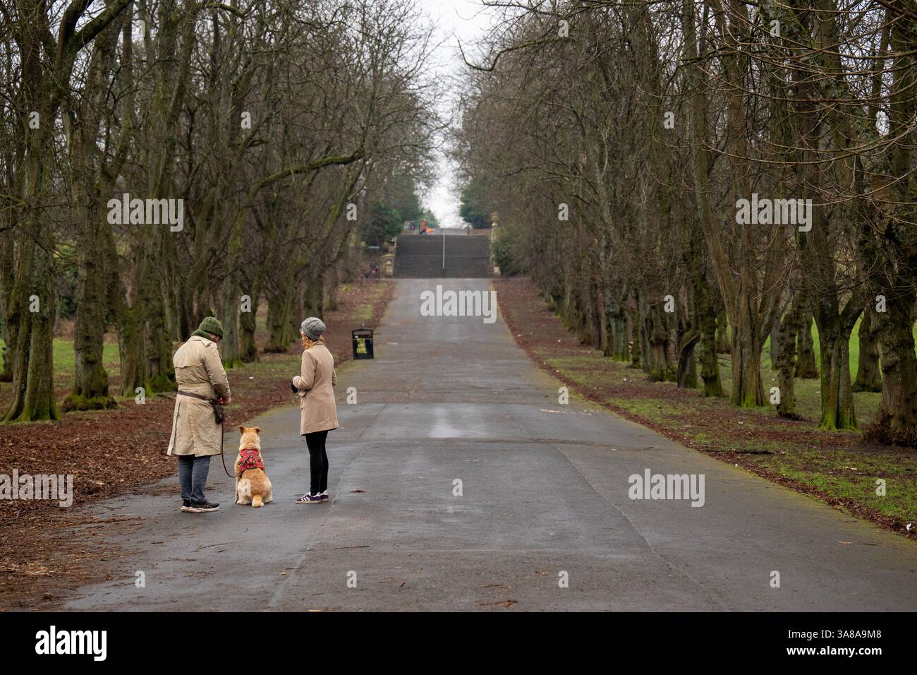 Jeune couple promène là chien à travers Queens Park, Govanhill, Glasgow, Écosse. Banque D'Images