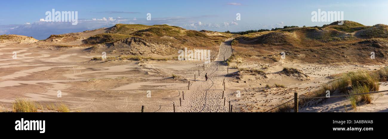 Dunes de sable dans le parc national de Slowinski, Pologne. Banque D'Images