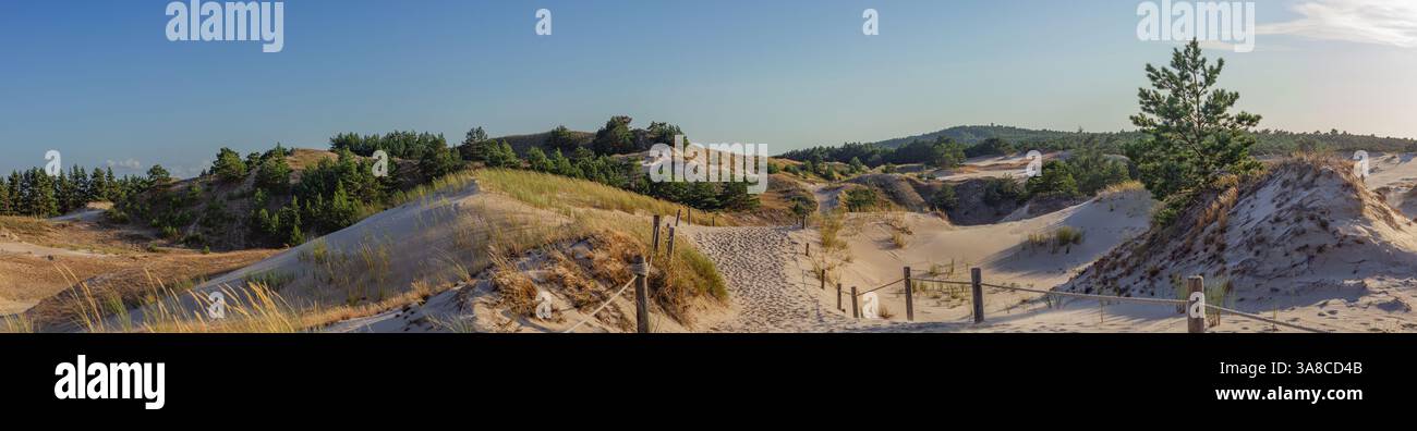 Dunes de sable dans le parc national de Slowinski, Pologne. Banque D'Images