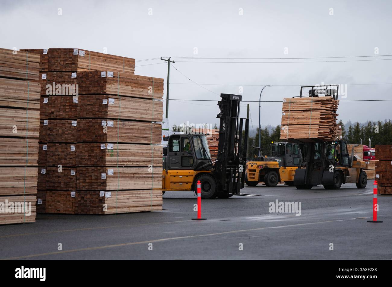 Nanaimo, Canada. 28 mars 2025. Du matériel lourd est utilisé pour déplacer le bois d’œuvre à la scierie Western Forest Products Duke point, à Nanaimo, en Colombie-Britannique, le vendredi 28 mars, 2025. crédit : The Canadian Press/Alamy Live News Banque D'Images