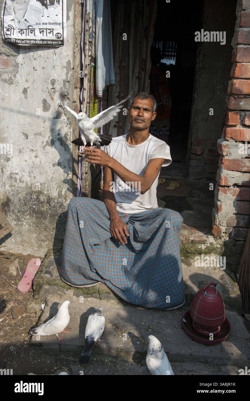 29 janvier 2012 - Khulna, Khulna, Bangladesh - Bangladesh, Khulna, colonie de balayeuses Sonadanga. La plupart de ces personnes qui vivent dans ce bidonville sont des Dalits hindous, ou la caste intouchable travaillant comme balayeuses et nettoyeuses de toilettes. Il y a environ 5,5 millions de Dalits à travers le pays, ce sont les castes les plus négligées dans la société. Nimy lal, avec ses pigeons à la maison, travaille comme balayeuse dans le bureau de police. (Crédit image : © Alison Wright via ZUMA Wire) Banque D'Images