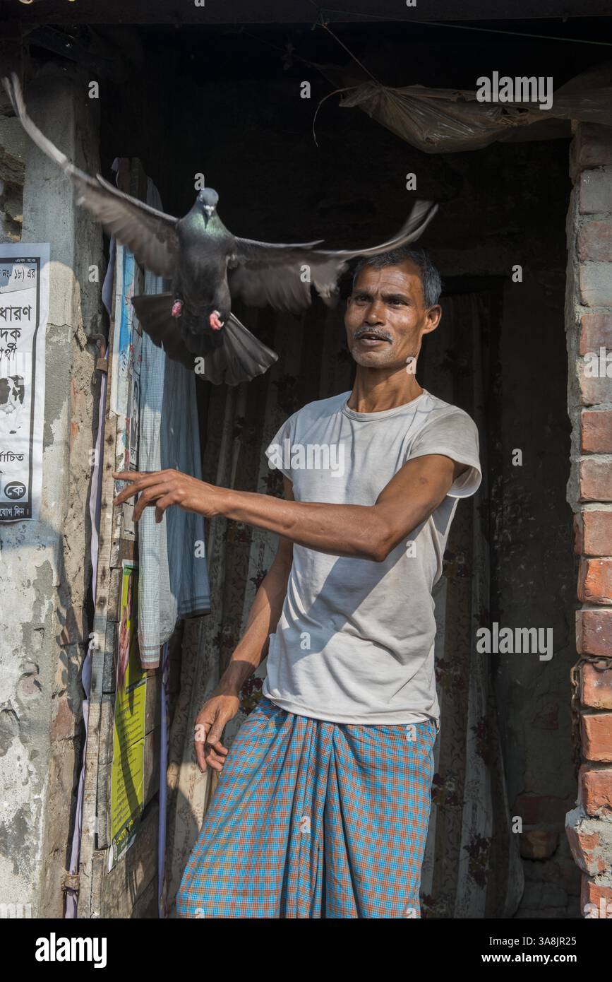 29 janvier 2012 - Khulna, Khulna, Bangladesh - Bangladesh, Khulna, colonie de balayeuses Sonadanga. La plupart de ces personnes qui vivent dans ce bidonville sont des Dalits hindous, ou la caste intouchable travaillant comme balayeuses et nettoyeuses de toilettes. Il y a environ 5,5 millions de Dalits à travers le pays, ce sont les castes les plus négligées dans la société. Nimy lal, avec ses pigeons à la maison, travaille comme balayeuse dans le bureau de police. (Crédit image : © Alison Wright via ZUMA Wire) Banque D'Images