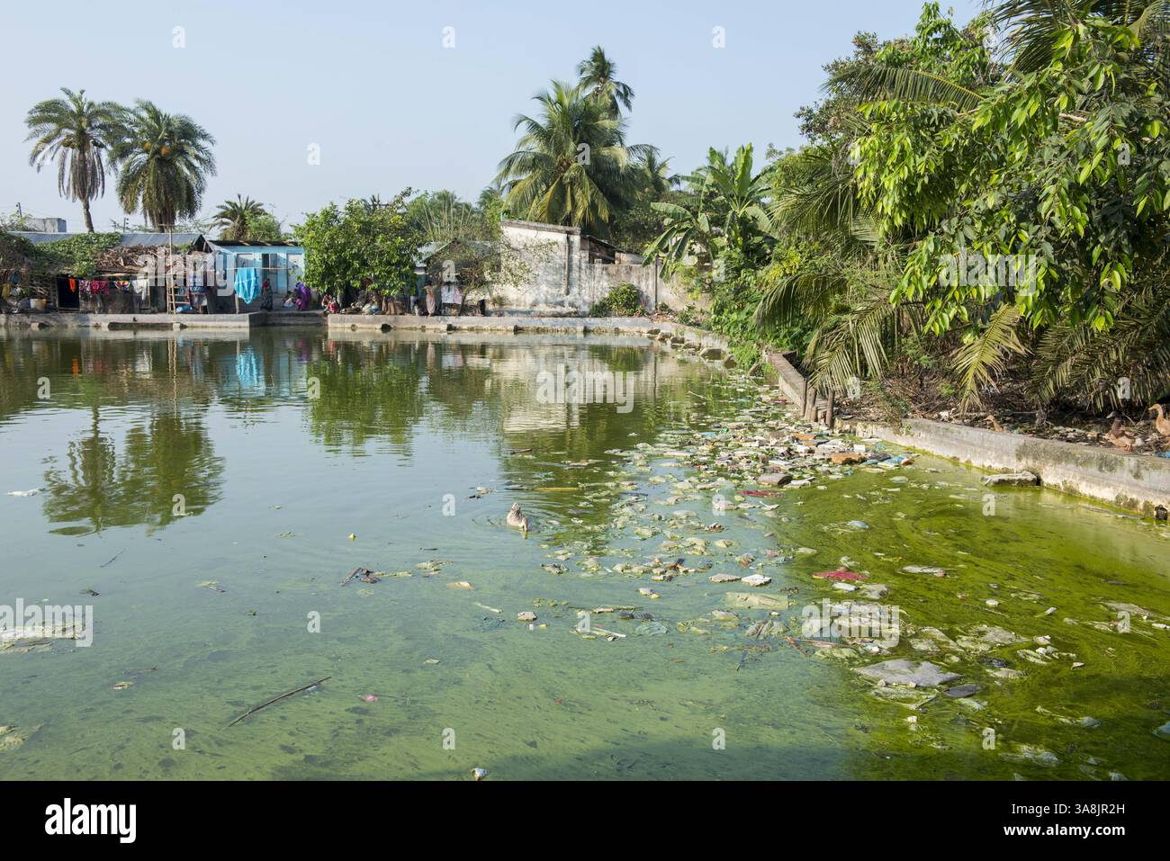 29 janvier 2012 - Khulna, Khulna, Bangladesh - Bangladesh, Khulna, colonie de balayeuses Sonadanga. La plupart de ces personnes qui vivent dans ce bidonville sont des Dalits hindous, ou la caste intouchable travaillant comme balayeuses et nettoyeuses de toilettes. Il y a environ 5,5 millions de Dalits à travers le pays, ce sont les castes les plus négligées dans la société. Bassin de boue dans le bidonville. (Crédit image : © Alison Wright via ZUMA Wire) Banque D'Images