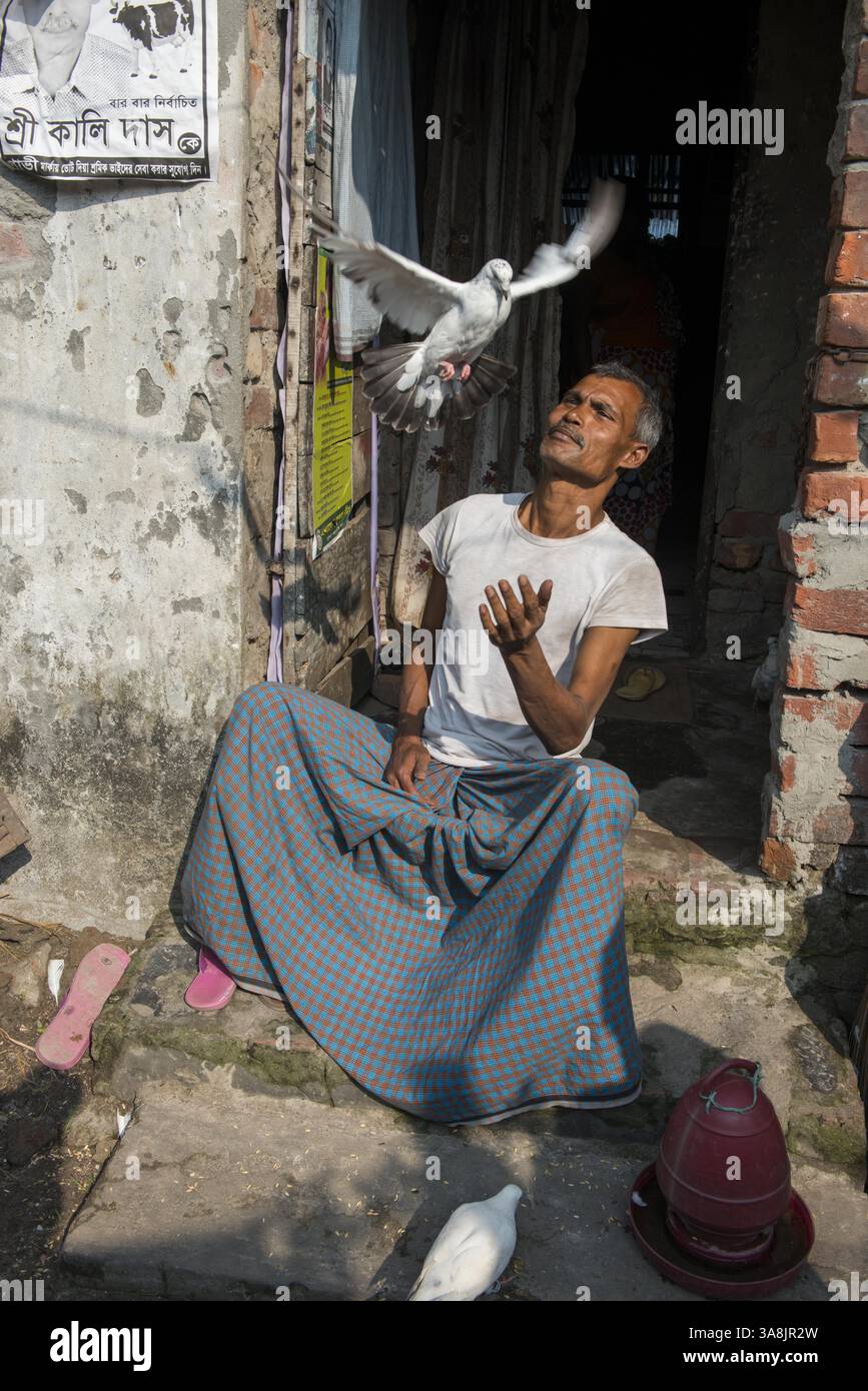 29 janvier 2012 - Khulna, Khulna, Bangladesh - Bangladesh, Khulna, colonie de balayeuses Sonadanga. La plupart de ces personnes qui vivent dans ce bidonville sont des Dalits hindous, ou la caste intouchable travaillant comme balayeuses et nettoyeuses de toilettes. Il y a environ 5,5 millions de Dalits à travers le pays, ce sont les castes les plus négligées dans la société. Nimy lal, avec ses pigeons à la maison, travaille comme balayeuse dans le bureau de police. (Crédit image : © Alison Wright via ZUMA Wire) Banque D'Images