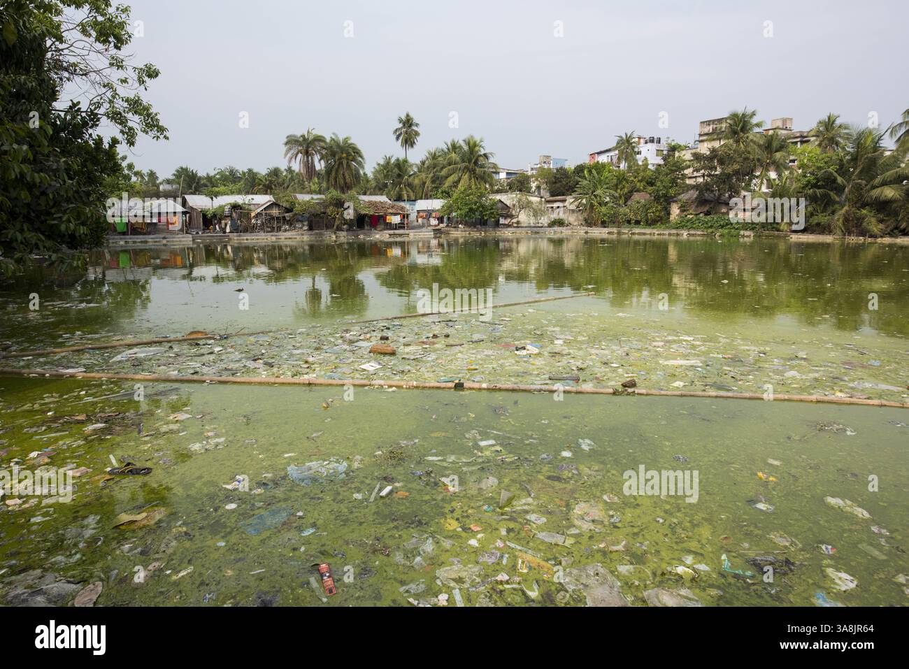 18 mars 2017 - Khulna, Khulna, Bangladesh - Bangladesh, Khulna, colonie de balayeuses Sonadanga. La plupart de ces personnes qui vivent dans ce bidonville sont des Dalits hindous, ou la caste intouchable travaillant comme balayeuses et nettoyeuses de toilettes. Il y a environ 5,5 millions de Dalits dans tout le pays, ce sont les castes les plus négligées de la société. Bassin de boues fécales dans le bidonville. (Crédit image : © Alison Wright via ZUMA Wire) Banque D'Images