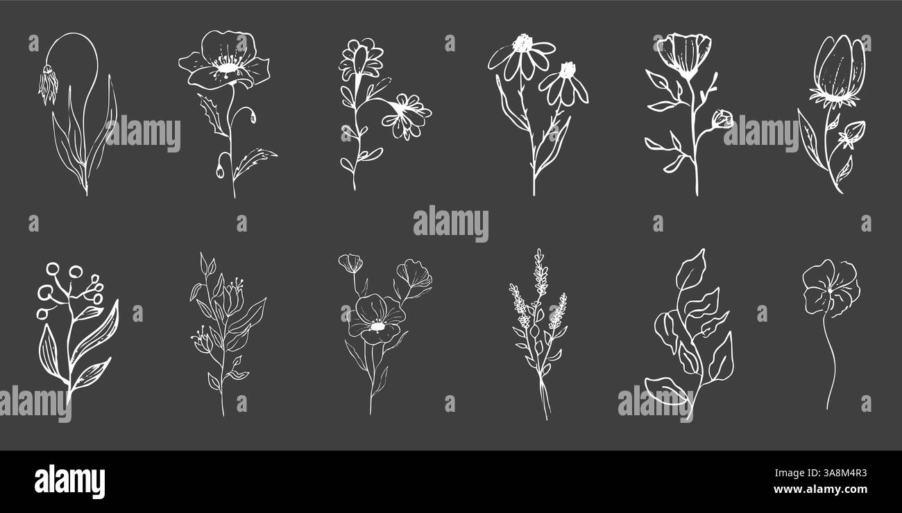 Floral botanique féminin fleur sauvage ligne d'été dessin à la craie. Trendy minimal Elements herbes de mariage, fleurs minimalistes avec des feuilles élégantes. Petit tatouage, élégant rustique. Illustration vectorielle Illustration de Vecteur
