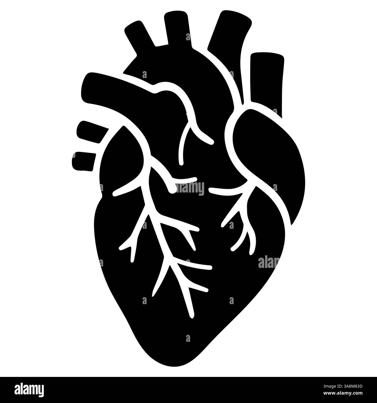 Cœur humain anatomique noir, icône Silhouette avec artères et veines Illustration de Vecteur