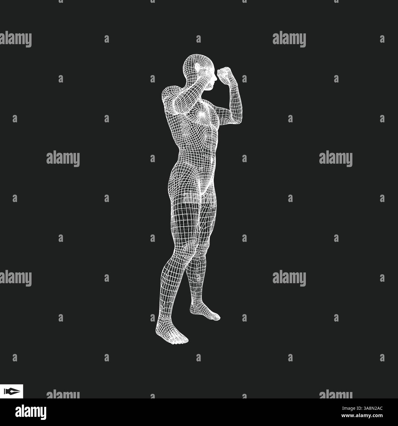 Fighter. Modèle 3D de l'homme. Corps humain. Symbole du sport. L'élément de conception. Vector Illustration. Illustration de Vecteur