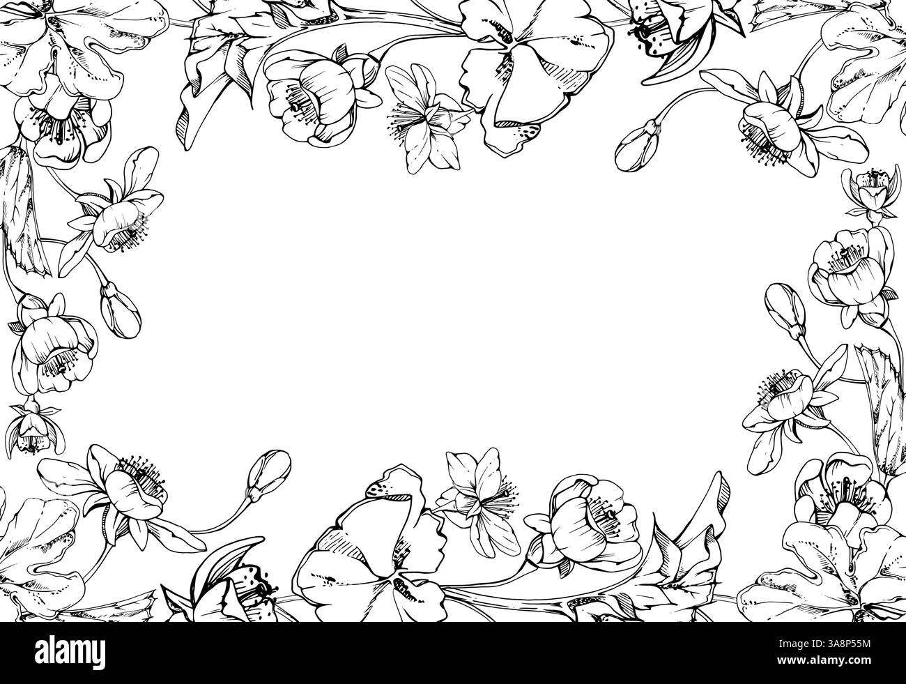 Fleurs de printemps avec des feuilles, forêt blanche cloudberry pomme cerise sakura anémone primevre éphémère, encre vectorielle dessinée à la main. Cadre de bordure isolé Illustration de Vecteur