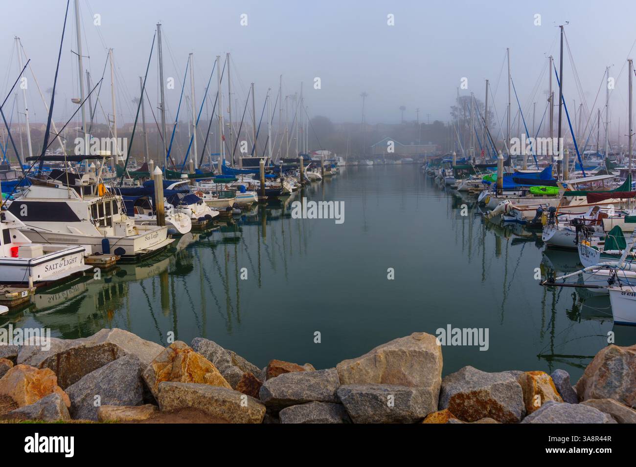 Oceanside, Californie - 3 janvier 2025 : marina sereine à Oceanside, Californie, avec des bateaux alignés dans le brouillard pendant les premières heures du matin, reflec Banque D'Images