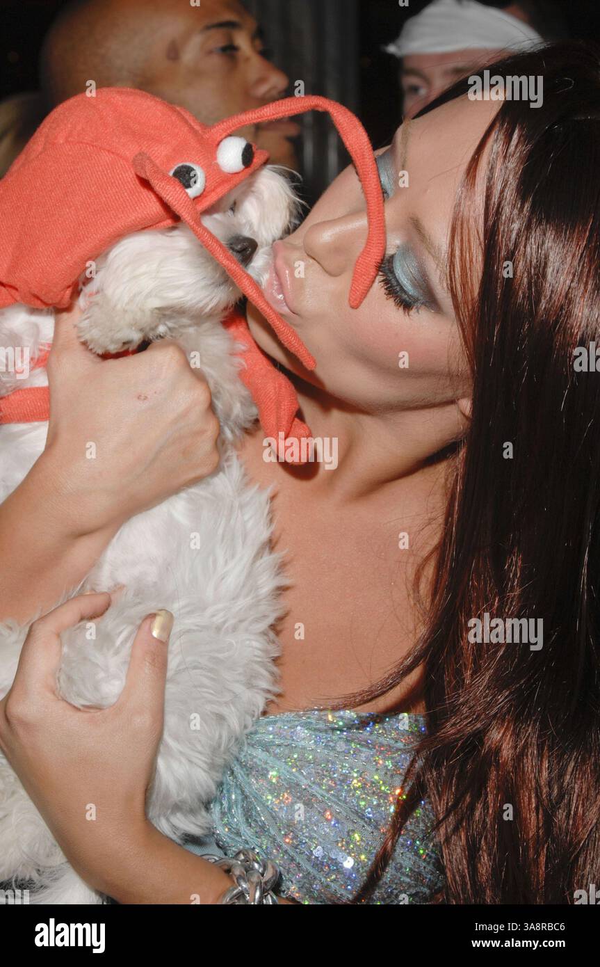 1er novembre 2008 - Las Vegas, Nevada, États-Unis - 31 octobre 2008 - Las Vegas, Nevada - Aubrey O'Day. Aubrey O'Day accueille une nuit de séduction hantée le soir d'Halloween au Tabu Ultra Lounge à l'intérieur du MGM Grand. Crédit photo : Lee Roth/Roth Stock/AdMedia (crédit image : © Lee Roth/AdMedia via ZUMA Wire) Banque D'Images