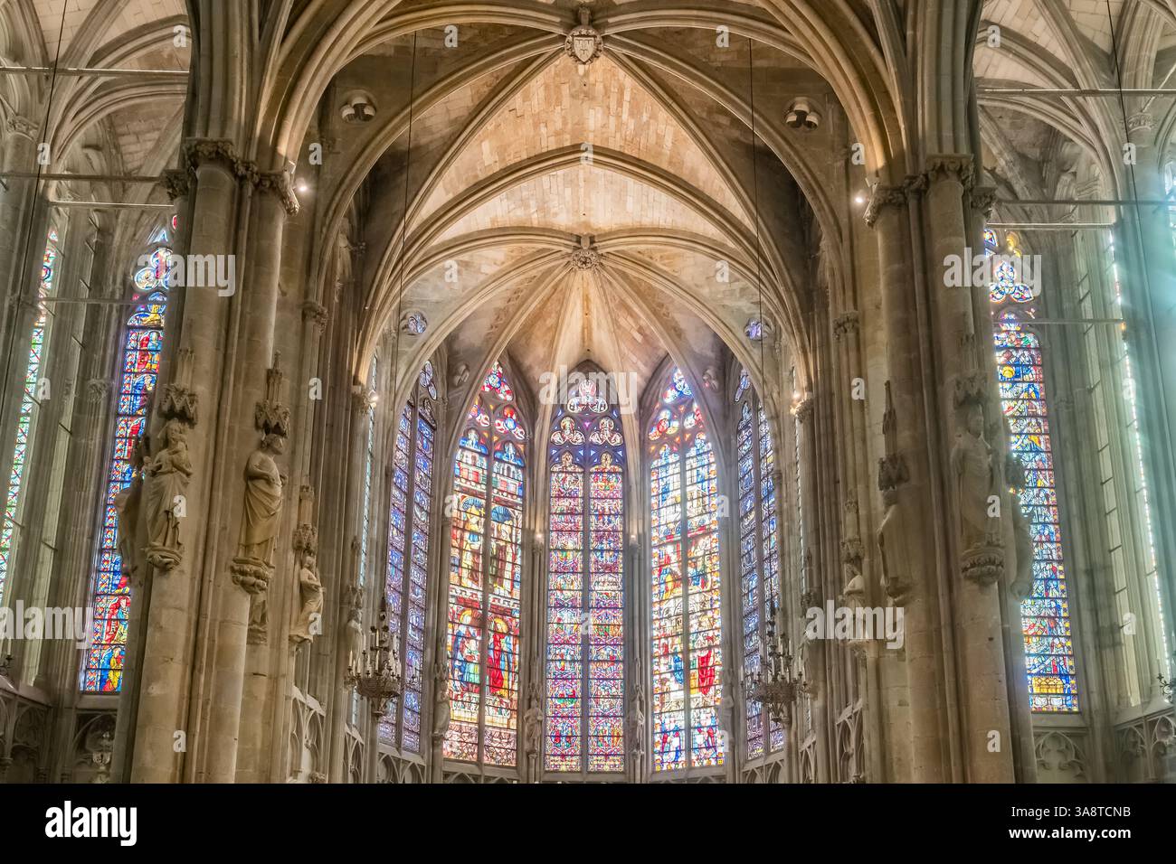Intérieur de la Cathédrale Nazaire et de la Cathédrale de Saint Celse à Carcassonne, France Banque D'Images
