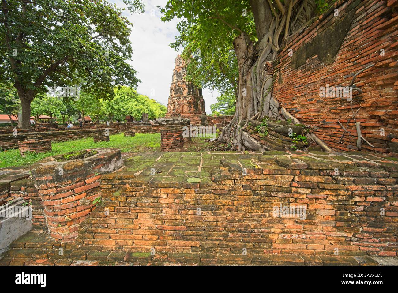 Wat Mahathat, à Ayutthaya, Thaïlande. Banque D'Images