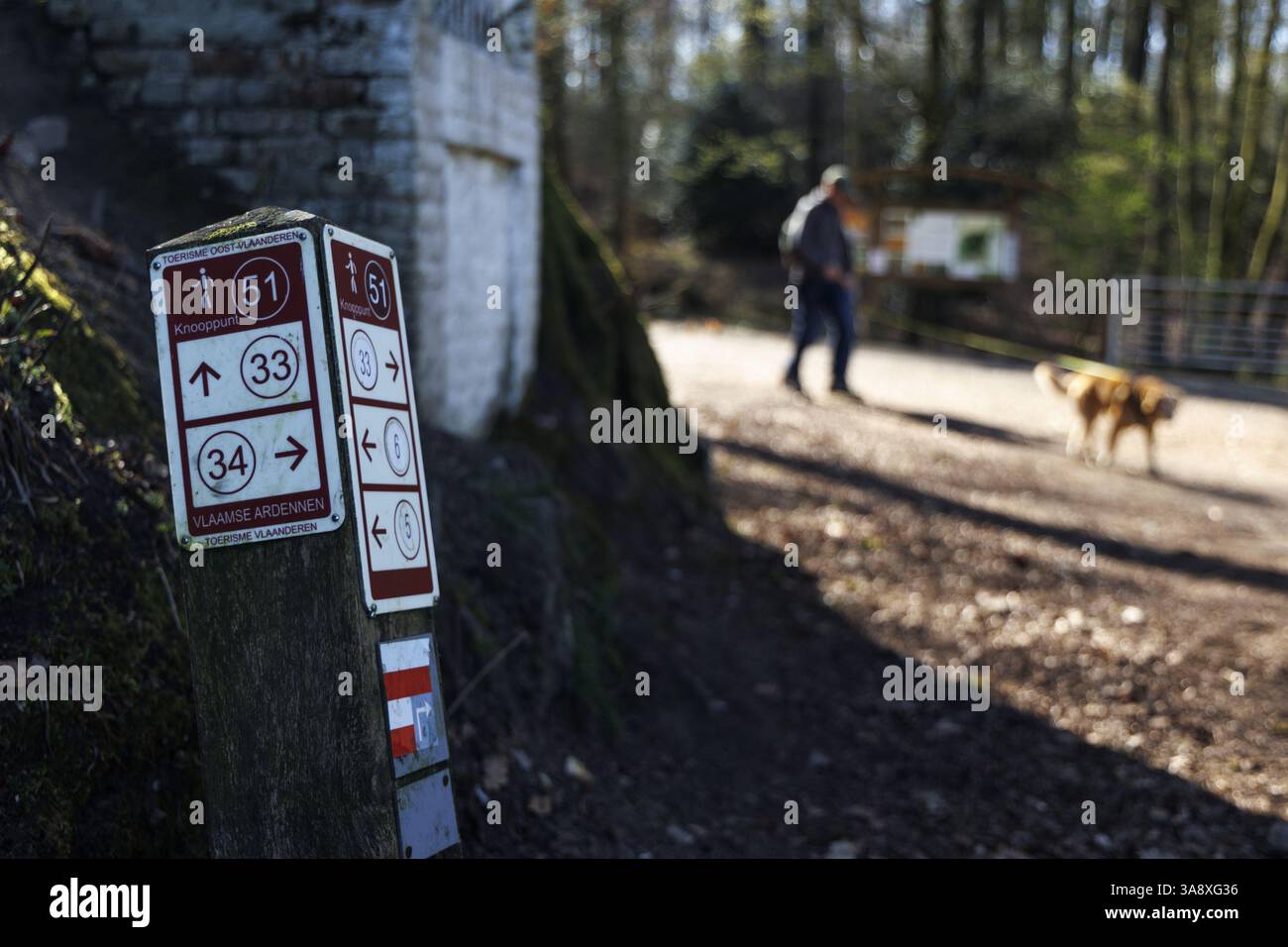 L'illustration montre un panneau indiquant différents itinéraires de randonnée par des nœuds et un panneau de chemin GR longue distance rayé rouge/blanc, samedi 29 mars 2025, à Brakelbos, Brakel, Vlaamse Ardennen (Ardennes flamandes). BELGA PHOTO NICOLAS MAETERLINCK Banque D'Images