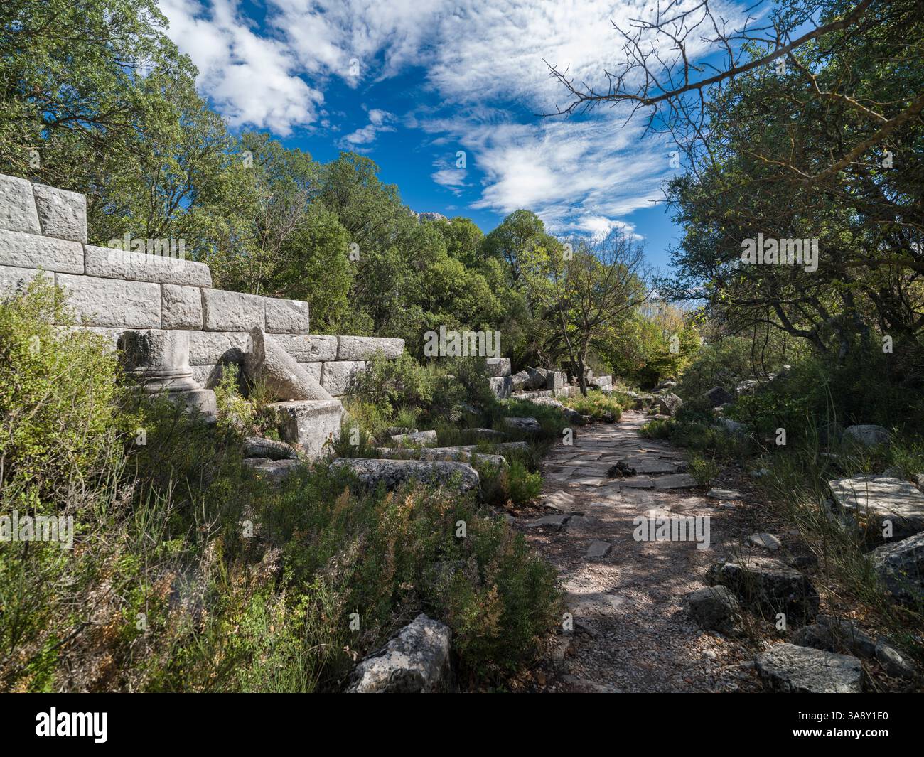 Les ruines de l'ancienne ville de Termessos. C'est l'un des sites archéologiques importants de Turquie. Région méditerranéenne Antalya province, pays Banque D'Images