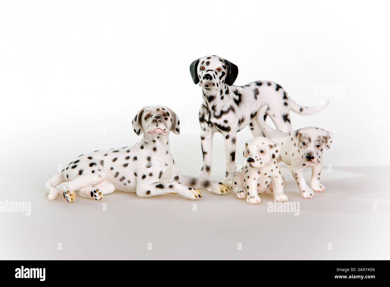Quatre chiens blancs et noirs sont debout et allongés sur une surface blanche. Les chiens sont de tailles différentes et sont disposés en rangée Banque D'Images