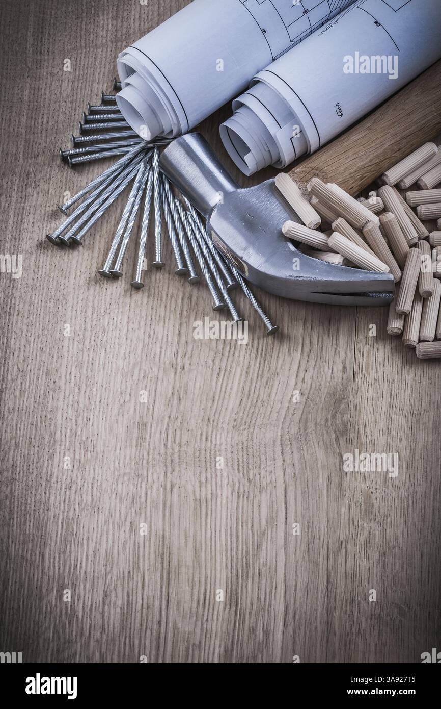 Ensemble de plans de construction goupilles de marteau à griffes et clous inoxydables Banque D'Images