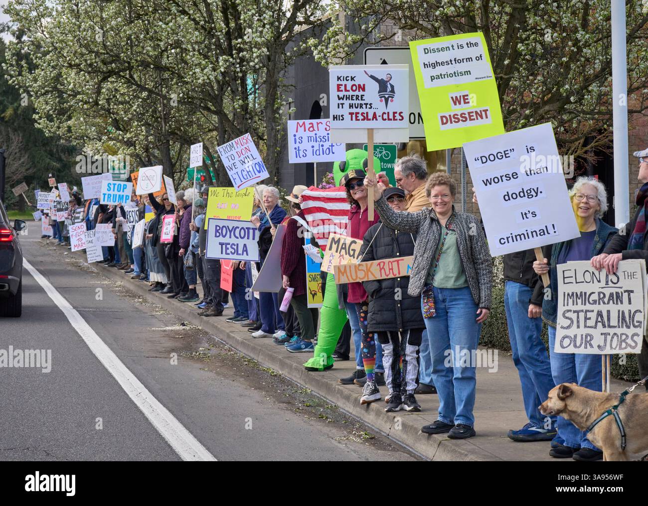 Des manifestants pro-démocratie appellent au boycott de Tesla à Eugene, Oregon, le 29 mars 2025. Banque D'Images