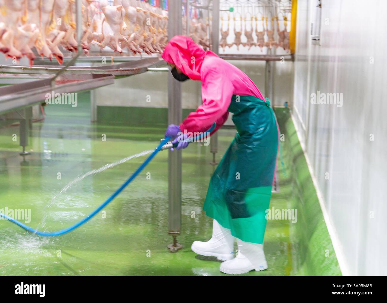 Ouvrier en bottes blanches pulvérisant de l'eau sur le sol dans un processus industriel. Banque D'Images