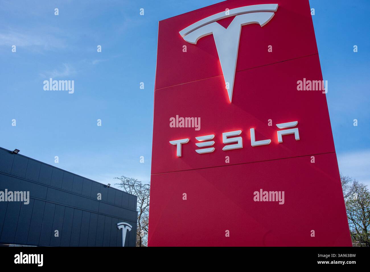 Londres, Royaume-Uni. 29 mars 2025. Le logo Tesla se trouve devant le concessionnaire Tesla à Londres. Les militants de Tesla Takedown UK se sont rassemblés devant le concessionnaire Tesla pour participer à la Journée mondiale d'action à Londres. Les manifestants appellent au boycott contre la société de voitures électriques Tesla appartenant à Elon Musk. En raison de la récente implication milliardaire de la politique américaine et mondiale. Crédit : SOPA images Limited/Alamy Live News Banque D'Images