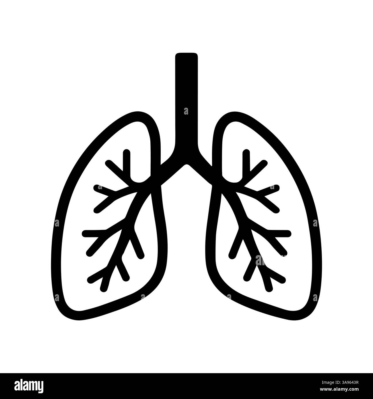 Icône d'anatomie des poumons humains sains, avec structure de l'arbre bronchique Illustration de Vecteur