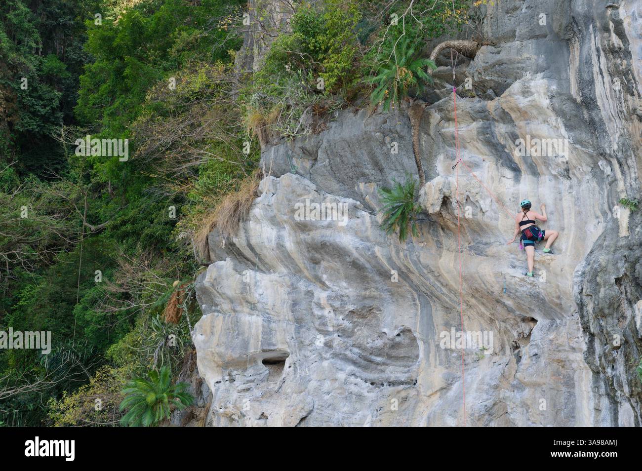 Grimpeur monte sur l'un des murs de calcaire de Tonsai Beach, entièrement harnaché et enfilé Banque D'Images