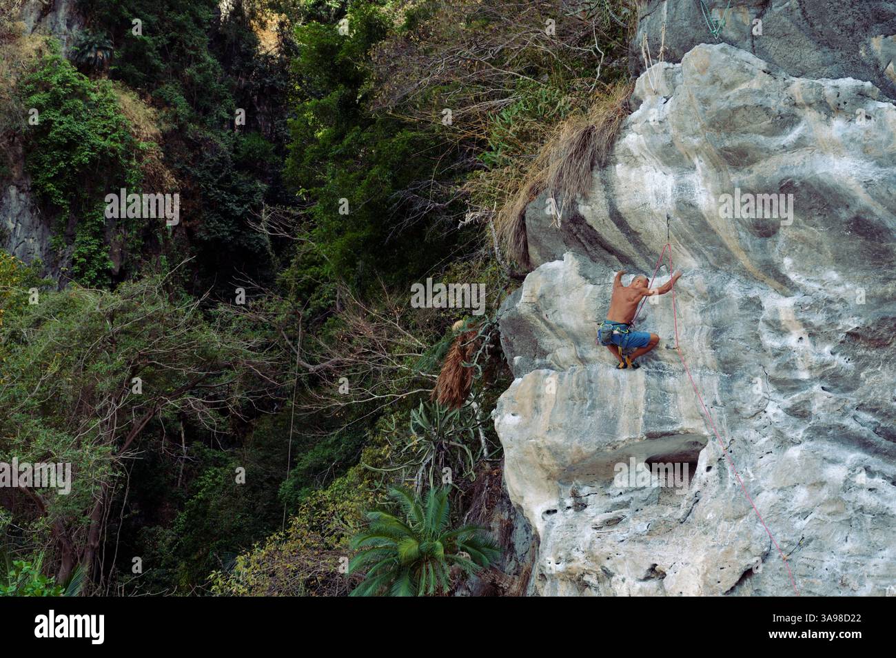 Grimpeur mature pousse vers le haut avec détermination, escaladant une falaise calcaire encadrée par une forêt tropicale dense Banque D'Images