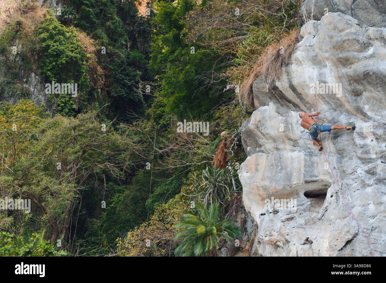 Un grimpeur mature s'attaque à une face calcaire escarpée entourée d'une jungle luxuriante à Tonsai Banque D'Images