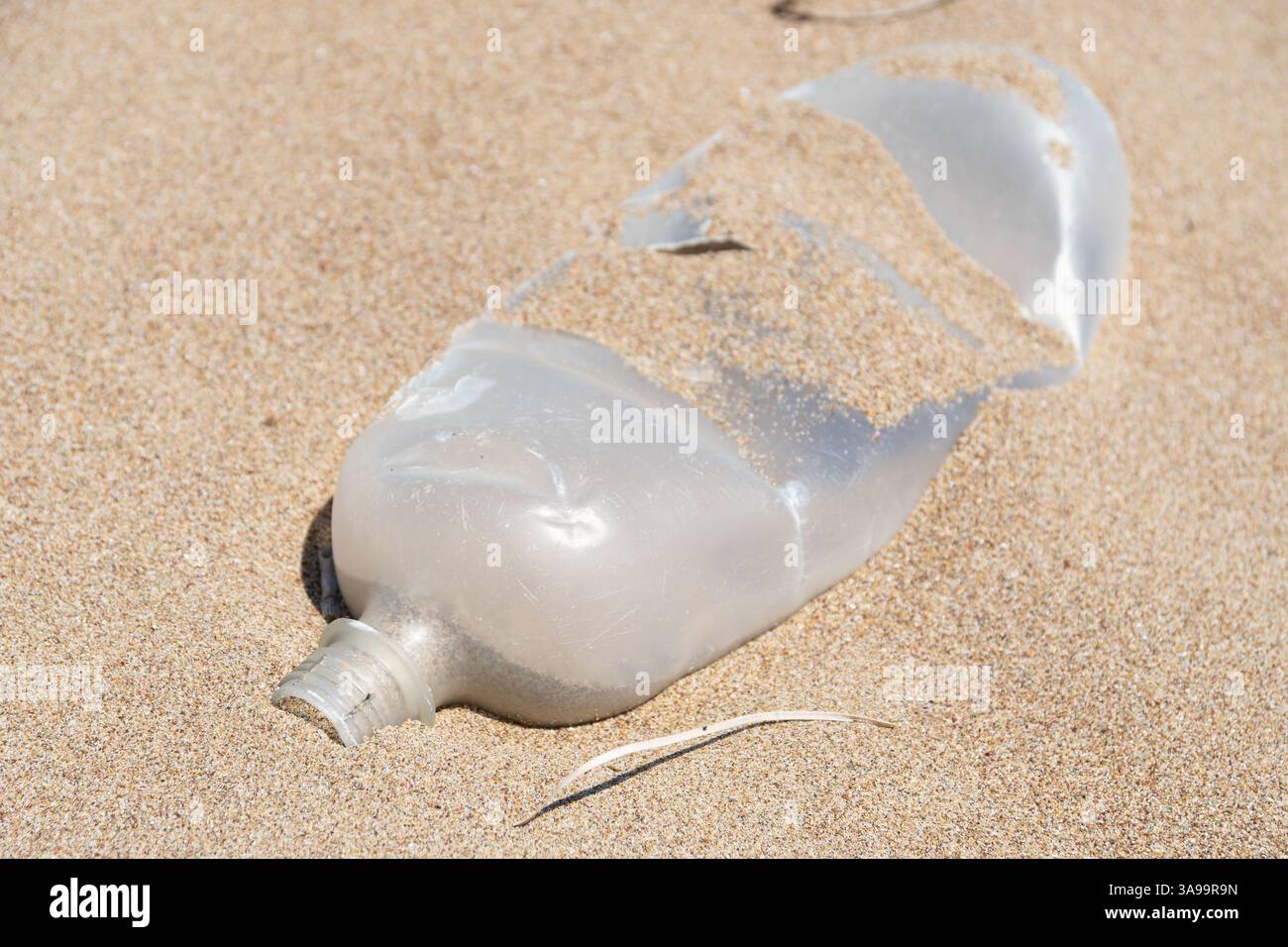 Bouteille d'eau en plastique sur la plage de sable, pollution de l'environnement Banque D'Images
