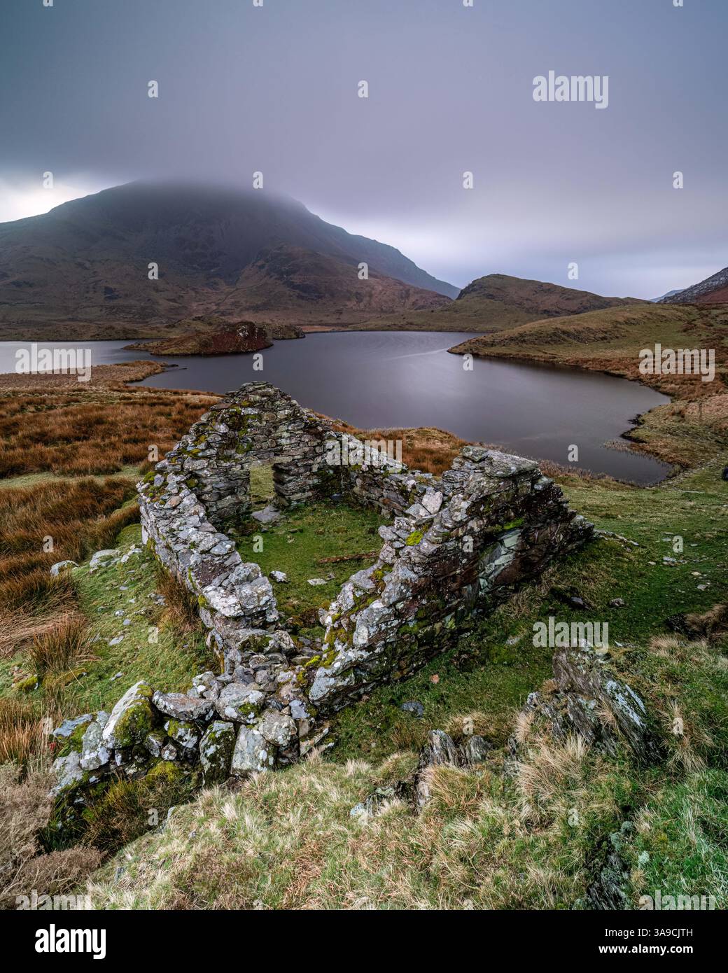 Llyn y Dywarchen, Snowdonia, pays de Galles Banque D'Images
