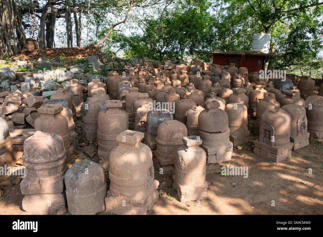 Stupas votifs disposés sur le site archéologique de Ratnagiri. Ce sont les dernières découvertes du site découvertes entre décembre 2024 et mars 2025. Banque D'Images Stupas votifs disposés sur le site archéologique de Ratnagiri. Ce sont les dernières découvertes du site découvertes entre décembre 2024 et mars 2025. Banque D'Images