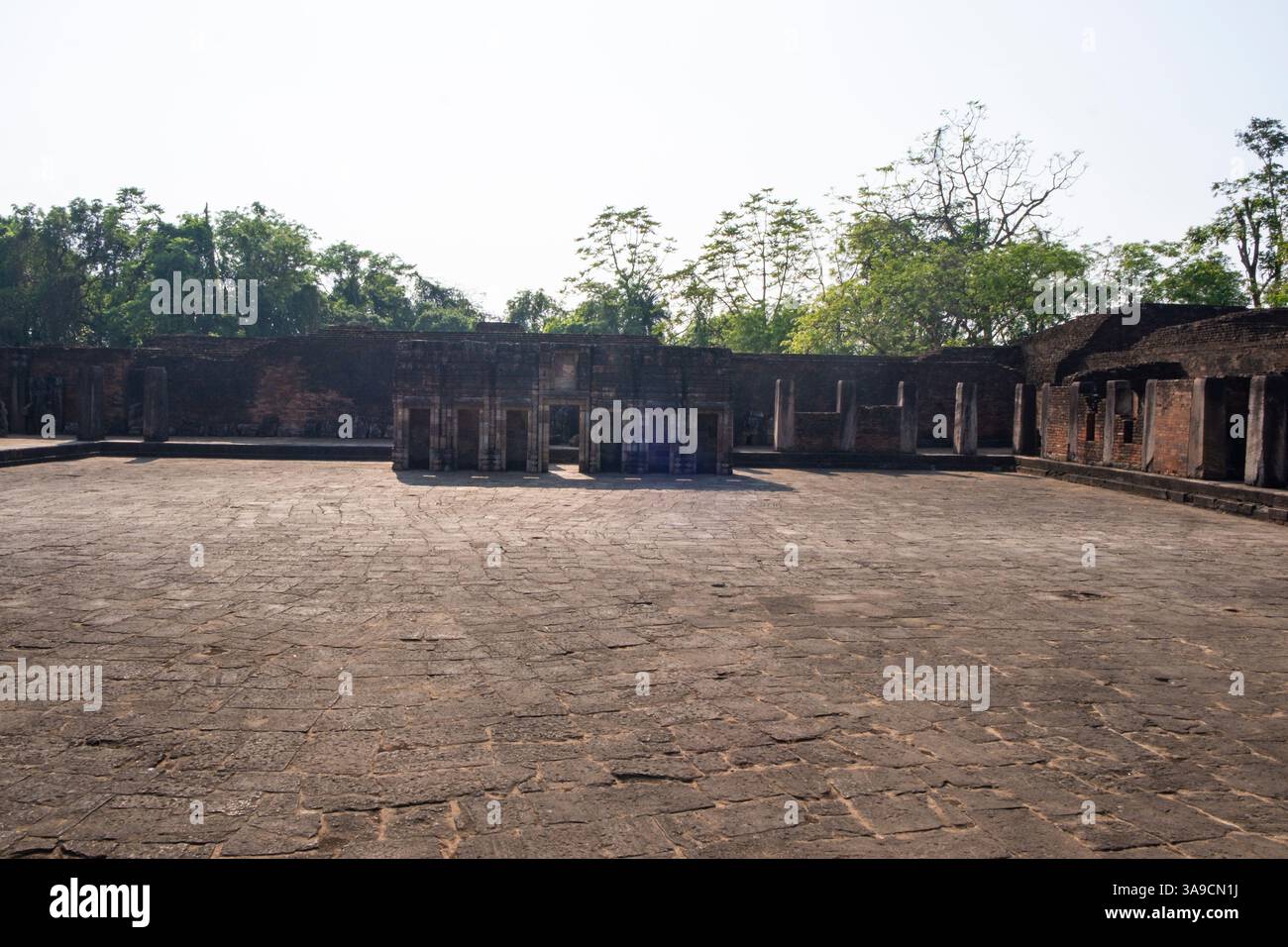 Troisième façade au sanctuaire arrière dans la cour du monastère 1 sur le site archéologique de Ratnagiri. Ratnagiri (colline de joyaux) est le site d'un ma ruiné Banque D'Images Troisième façade au sanctuaire arrière dans la cour du monastère 1 sur le site archéologique de Ratnagiri. Ratnagiri (colline de joyaux) est le site d'un ma ruiné Banque D'Images