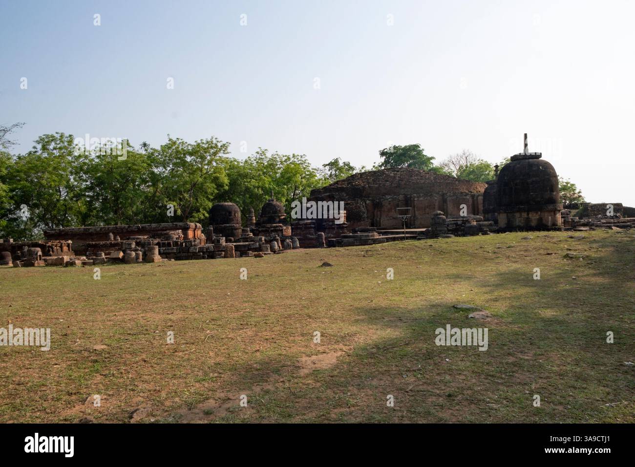 Stupa Maha, stupas votif et stupas de taille moyenne sur le site archéologique de Ratnagiri. Ratnagiri (colline des joyaux) est le site d'un mahavihara en ruine, Banque D'Images Stupa Maha, stupas votif et stupas de taille moyenne sur le site archéologique de Ratnagiri. Ratnagiri (colline des joyaux) est le site d'un mahavihara en ruine, Banque D'Images