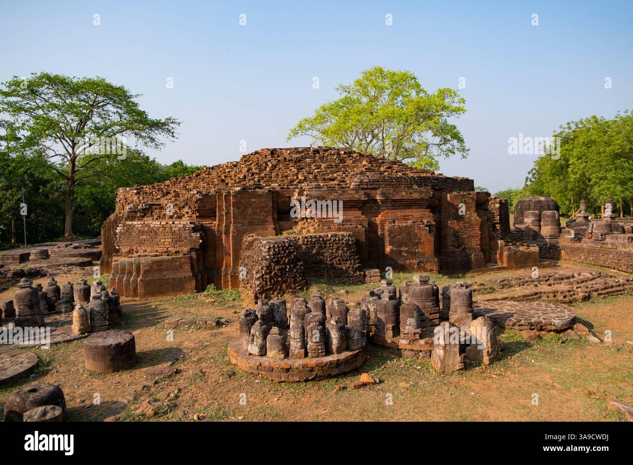 Stupa Maha, stupas votif et stupas de taille moyenne sur le site archéologique de Ratnagiri. Ratnagiri (colline des joyaux) est le site d'un mahavihara en ruine, Banque D'Images Stupa Maha, stupas votif et stupas de taille moyenne sur le site archéologique de Ratnagiri. Ratnagiri (colline des joyaux) est le site d'un mahavihara en ruine, Banque D'Images