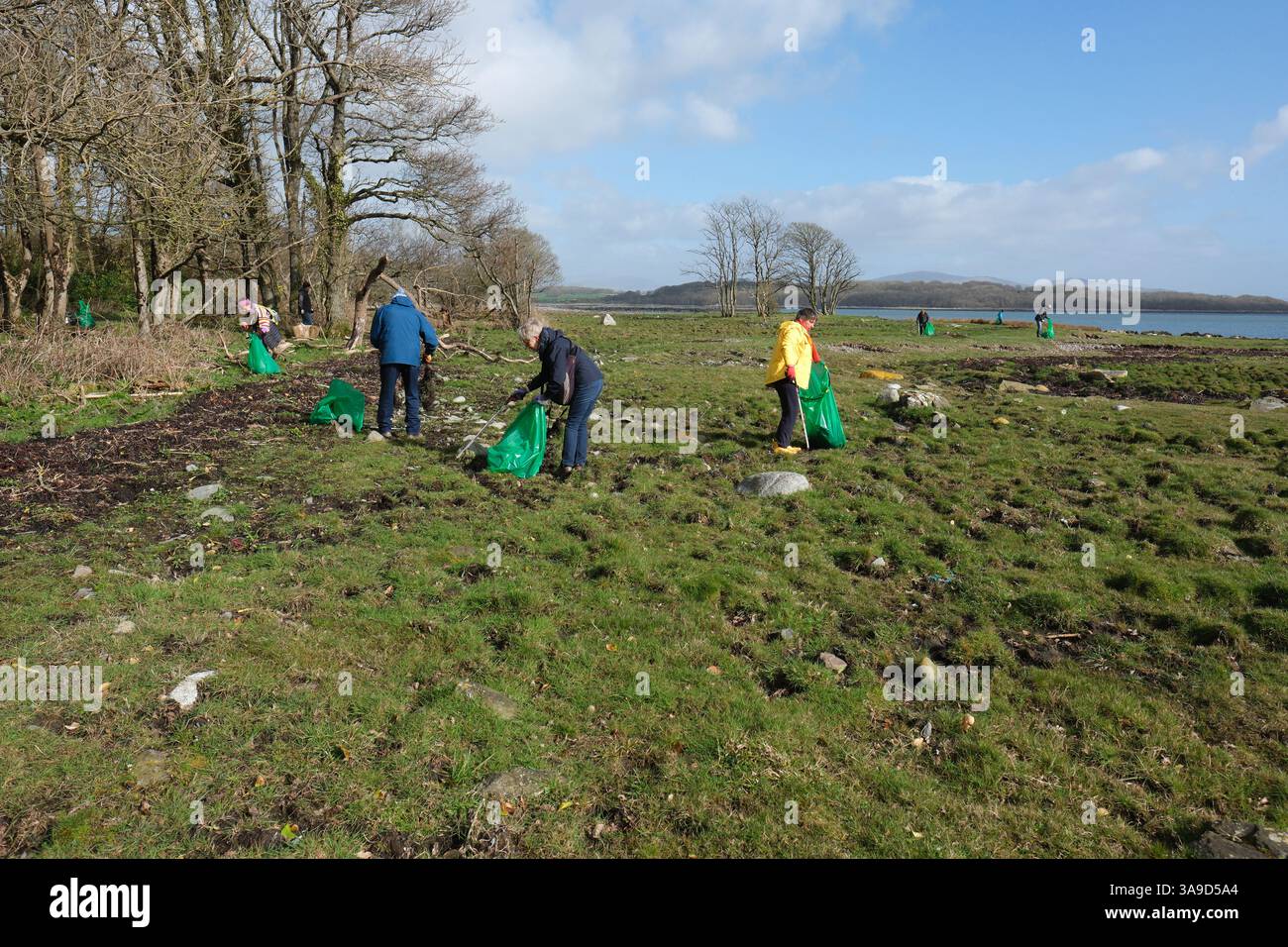 Les bénévoles communautaires de ramassage des déchets utilisent des pinces à main pour ramasser les déchets et les déchets marins des rives côtières de la baie de Wigtown en Écosse mars 2025 Banque D'Images