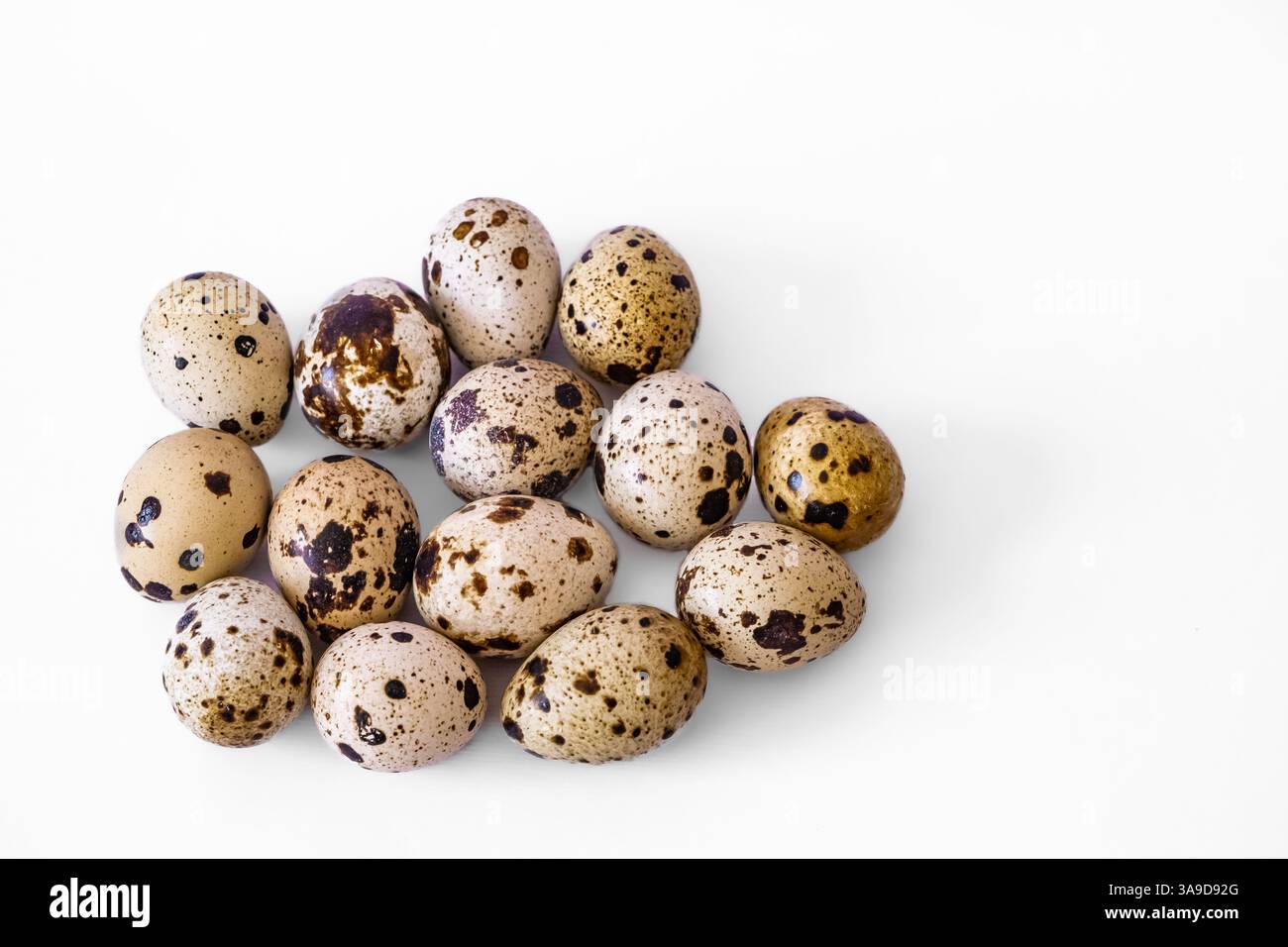 Oeufs de caille isolés, oeuf diététique, petit déjeuner sain, Nutrition biologique naturelle, ingrédient de salade oeuf cru de caille ponctué isolé sur fond blanc. Unco Banque D'Images