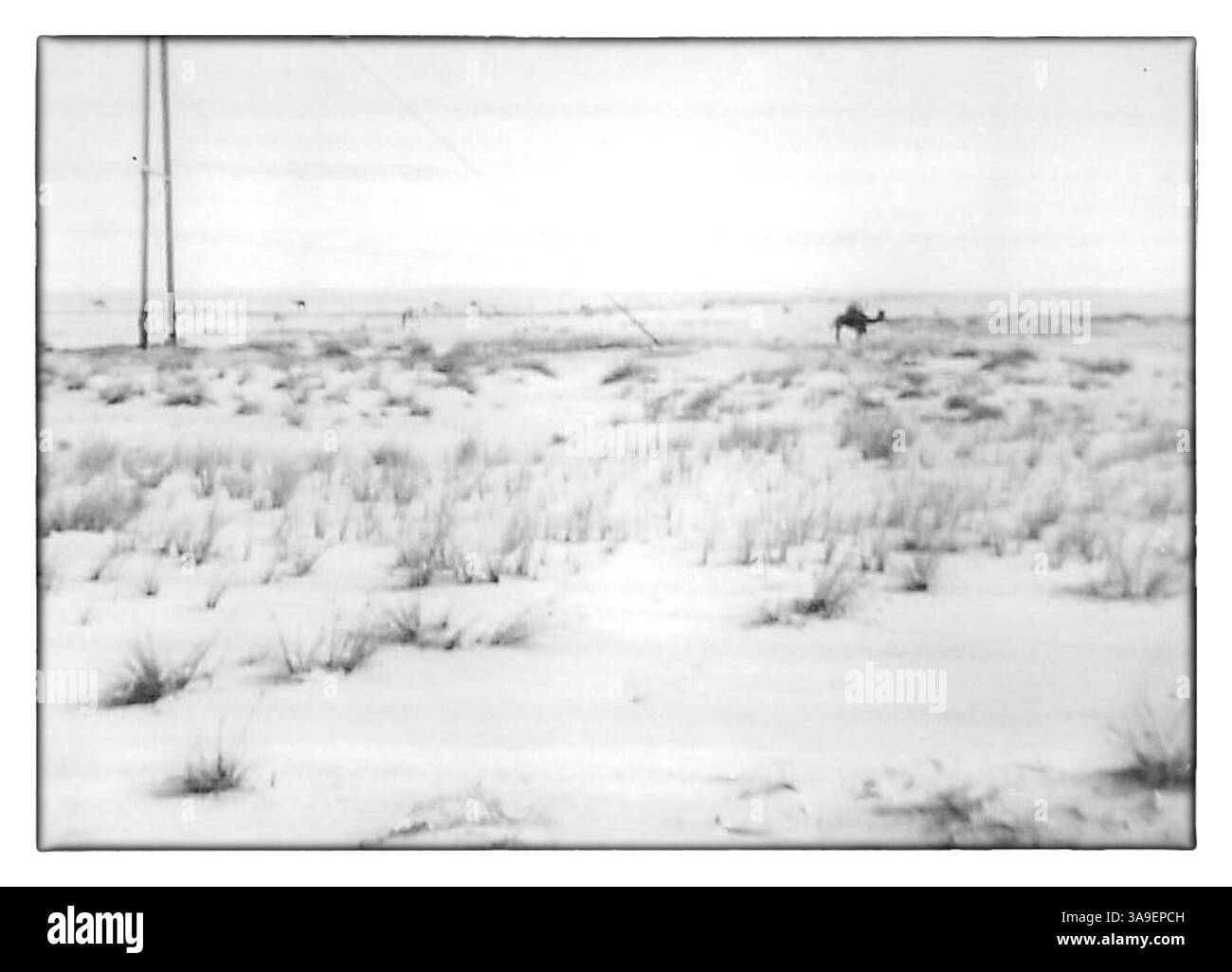 Scènes de al-Hofuf, al-Ahsa, Arabie Saoudite, ABT 1968 Banque D'Images