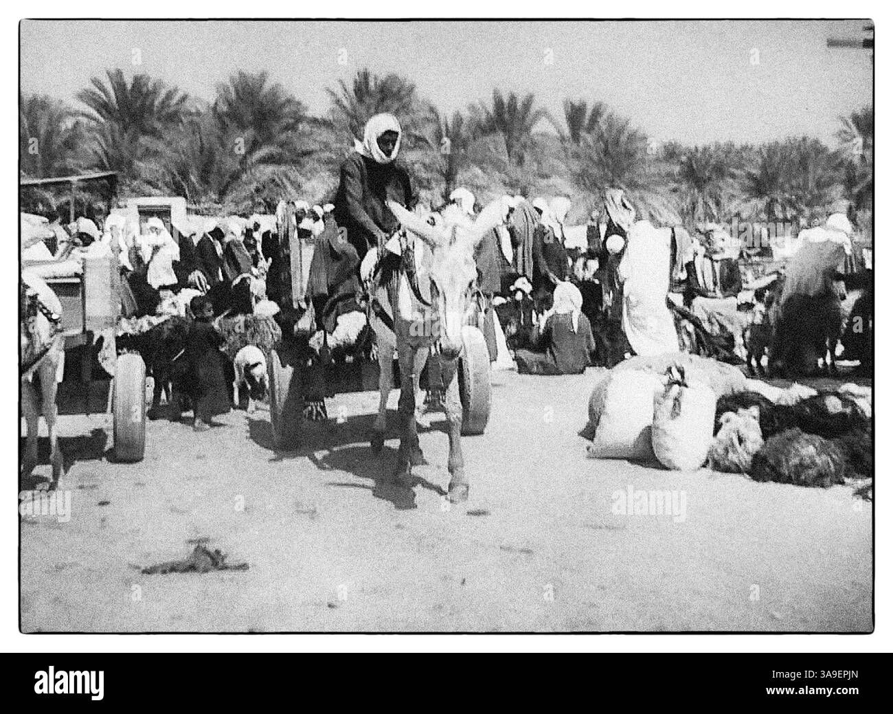 Scènes de al-Hofuf, al-Ahsa, Arabie Saoudite, ABT 1968 Banque D'Images