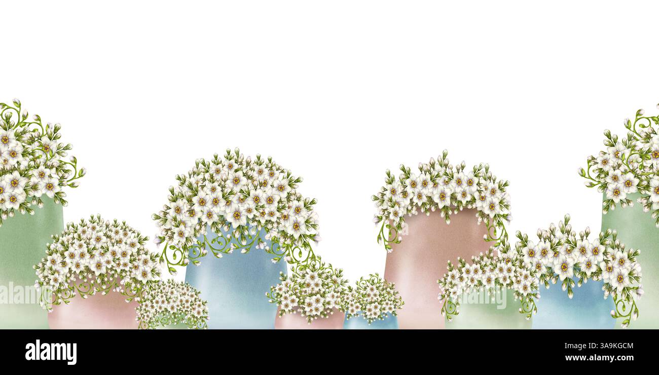Bordure sans couture de l'illustration florale botanique avec des fleurs blanches dans des vases pastel, encadrées de vignettes vertes, fleurs. Clip art aquarelle parfait Banque D'Images