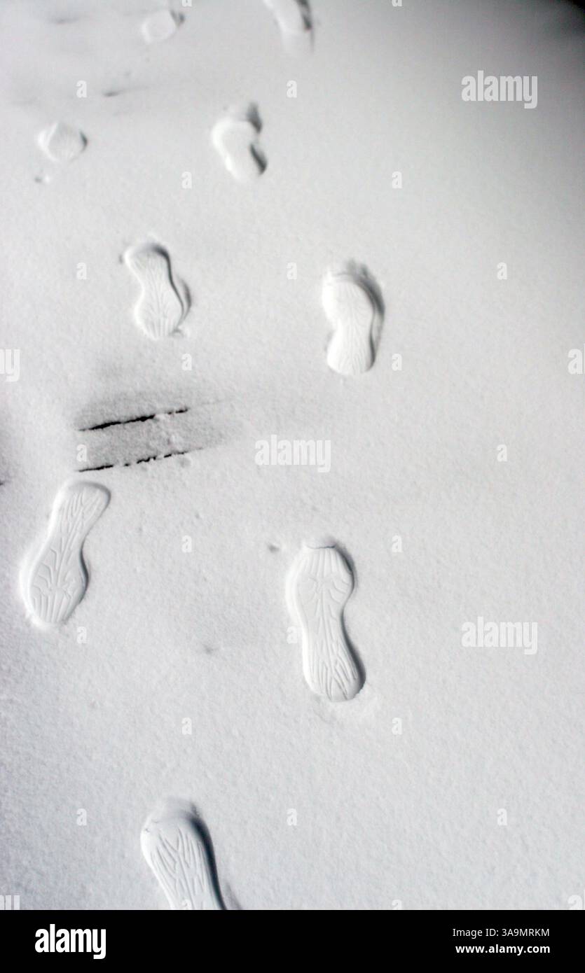 27 février 2006 ; Mammoth Lakes, CA, États-Unis ; une tempête hivernale qui a apporté pluie et neige dans de nombreuses régions de Californie continue de faire des ravages dans les montagnes de la Sierra Nevada. La chute de neige totale pour les deux derniers jours est de 39 pouces et compte. Photo : les empreintes enneigées montrent l'augmentation du niveau de neige à Mammoth montagne. Crédit obligatoire : photo de Marianna Day Massey/ZUMA Press. (©) Copyright 2006 par Marianna Day Massey Banque D'Images