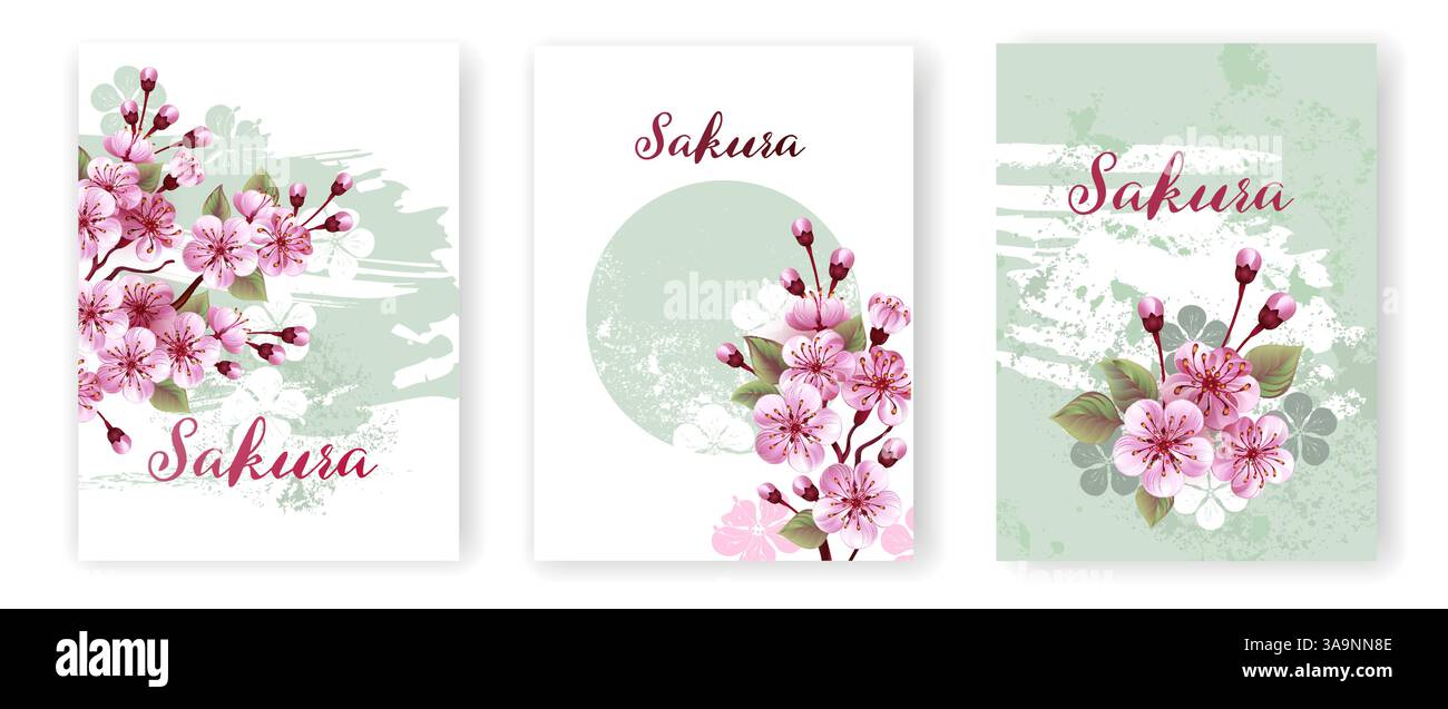 Paquet de feuillets de mode avec fleur de cerisier japonais rose dessinée artistiquement sur lumière blanche et vert pastel, fond texturé. Cerise japonaise Illustration de Vecteur