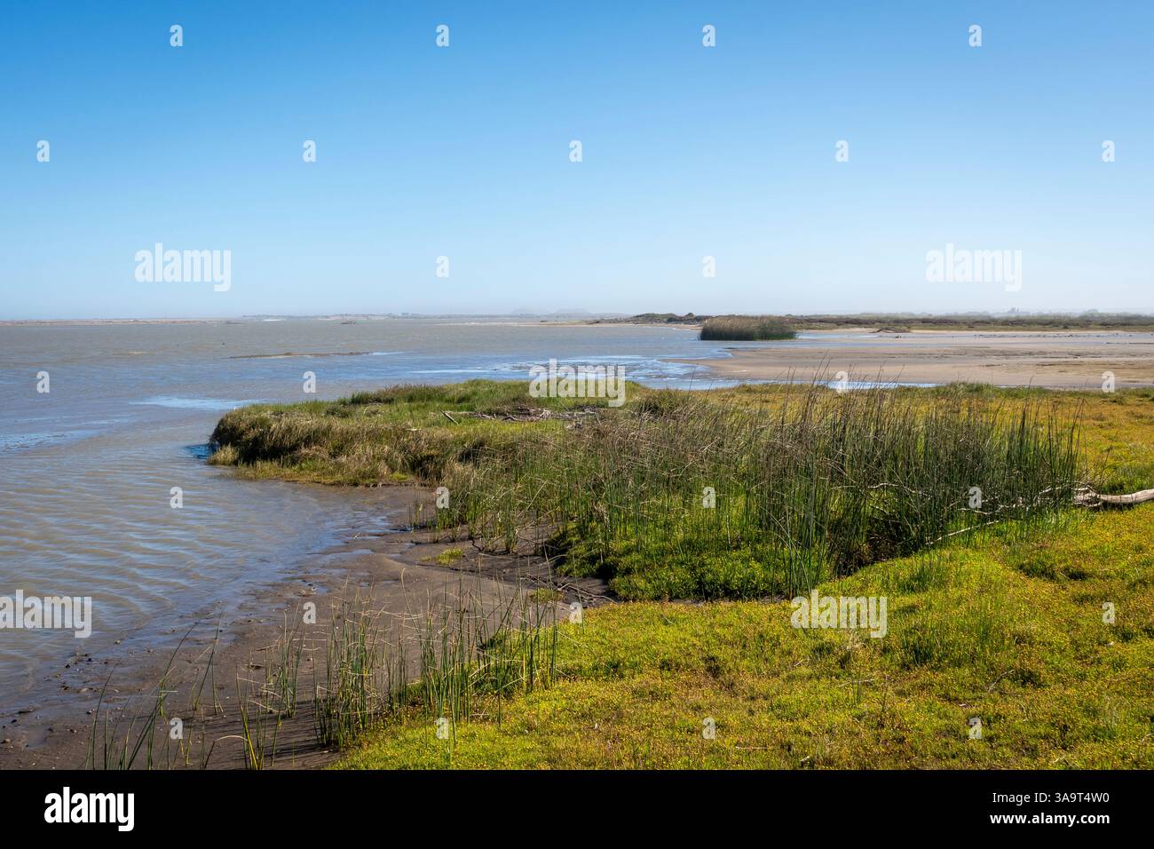 L'embouchure de la rivière Orange à Alexander Bay. Cap Nord. Afrique du Sud. Banque D'Images