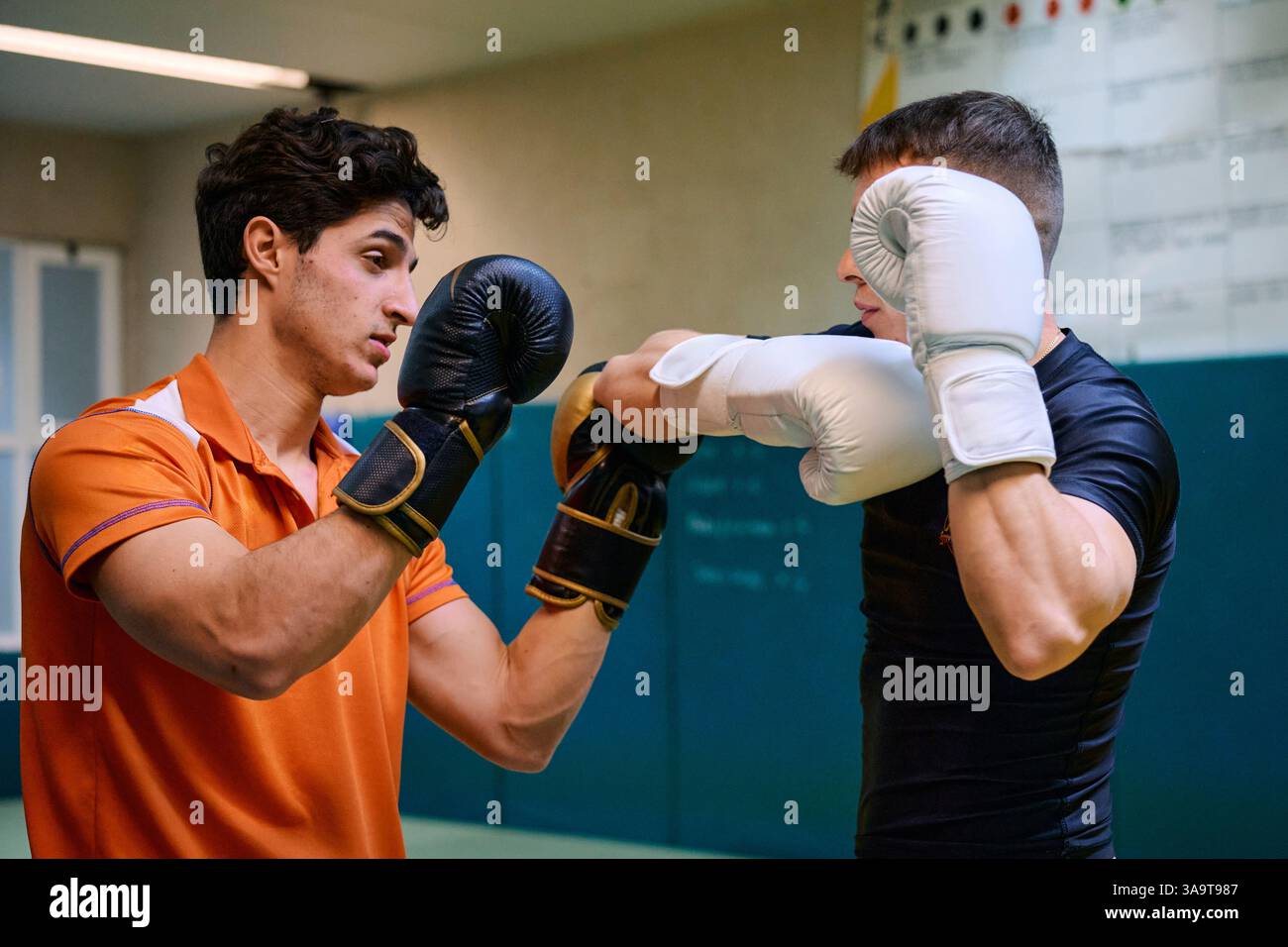 Séance d'entraînement de boxe entre deux athlètes dévoués dans un gymnase Banque D'Images