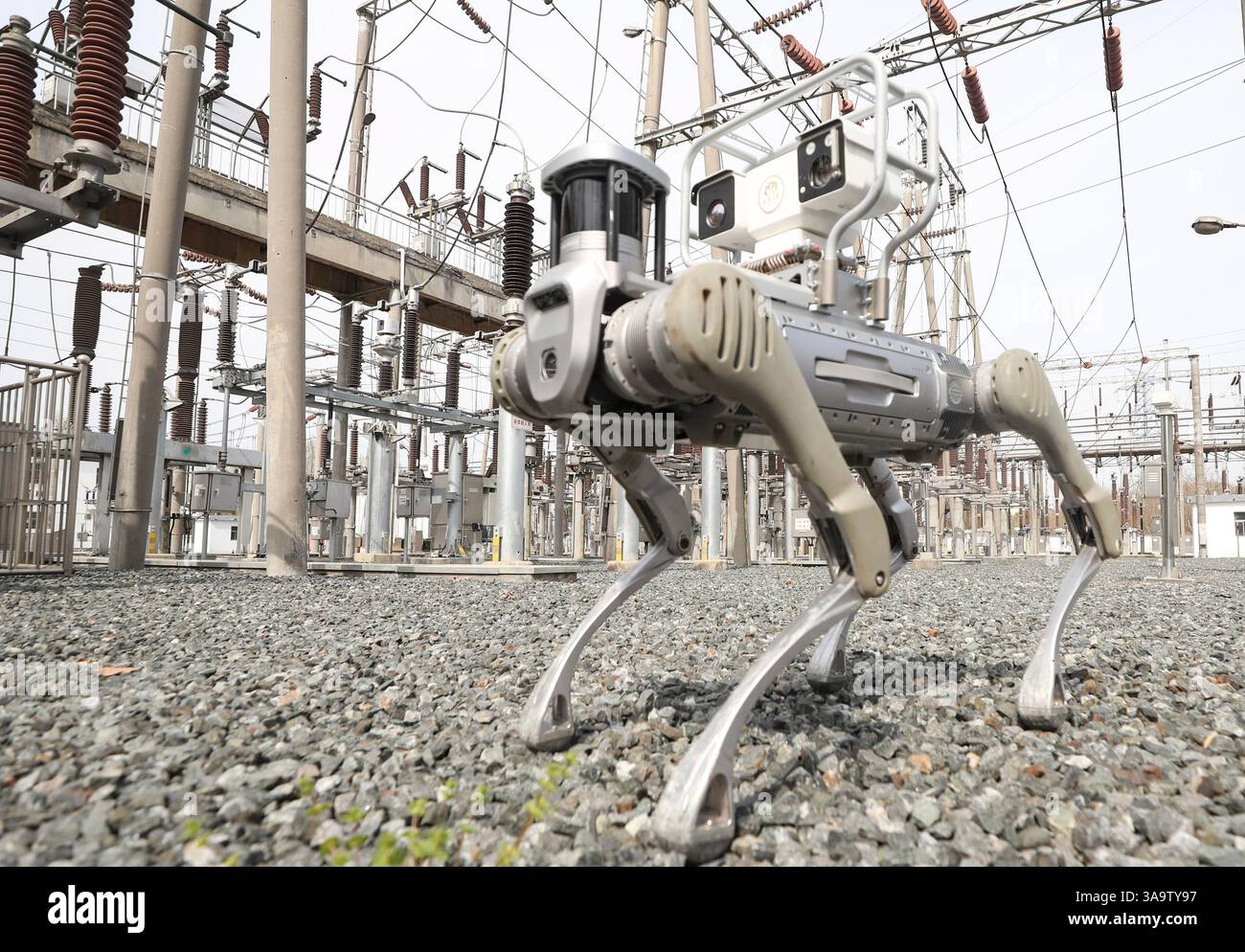 HUAI'AN, CHINE - 31 MARS 2025 - le personnel d'exploitation et de maintenance de la société State Grid Huai 'an exploite un équipement d'inspection robotique dans une sous-station de la ville de Huai 'an, province du Jiangsu, Chine, le 31 mars 2025. Banque D'Images